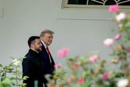 Все 28 пунктов